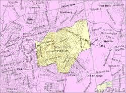 Foreclosure in  ELMWOOD ST Plainview, NY 11803