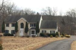 Pre-foreclosure Listing in LOCKTOWN SERGEANTSVILLE RD STOCKTON, NJ 08559