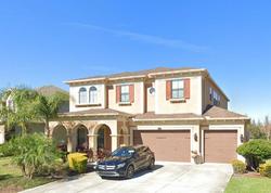 Pre-foreclosure in  CANINO CT Wesley Chapel, FL 33543