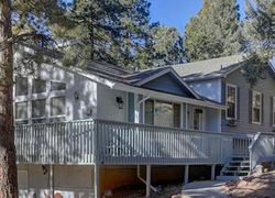 Pre-foreclosure in  FOREST HILL RD Woodland Park, CO 80863