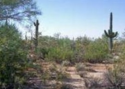 Pre-foreclosure in  S TWIN HAWK LN Marana, AZ 85658