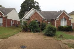 Pre-foreclosure in  ESTACADA WAY S Cordova, TN 38018