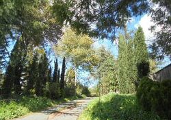  Saratoga Los Gatos , Los Gatos CA