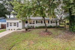 Pre-foreclosure Listing in CAPRICORN LN ORANGE PARK, FL 32073