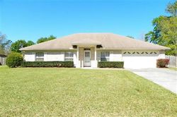 Pre-foreclosure Listing in APPLEWOOD CT ORANGE PARK, FL 32003