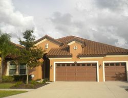 Pre-foreclosure in  CALVANO DR Land O Lakes, FL 34639