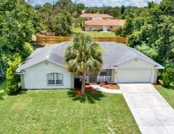 Pre-foreclosure in  JOHNSON WAY NE Lake Placid, FL 33852