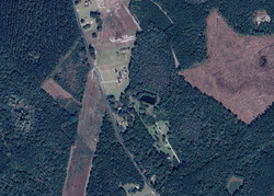 Pre-foreclosure in  GOOD SAMARITAN LN Saint George, SC 29477