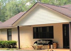 Pre-foreclosure Listing in WILLOW AVE DELAND, FL 32720