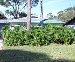 Pre-foreclosure Listing in GARFIELD DR DAYTONA BEACH, FL 32119