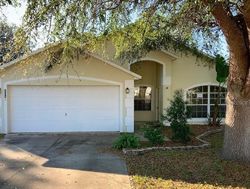 Pre-foreclosure Listing in ARBOR HILL CIR CLERMONT, FL 34715