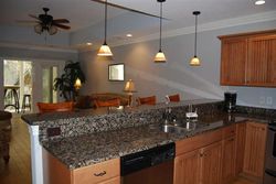 Pre-foreclosure in  INDIGO PALMS WAY Johns Island, SC 29455