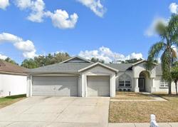 Pre-foreclosure in  TUSCANNY ST Brandon, FL 33511
