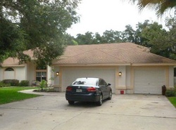 Pre-foreclosure Listing in BELLE TIMBRE AVE BRANDON, FL 33511