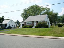 Pre-foreclosure in  CHESTNUT ST Bally, PA 19503