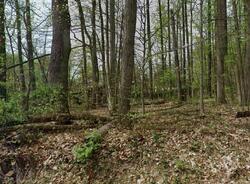 Pre-foreclosure in  WEAVER RD Morgantown, PA 19543