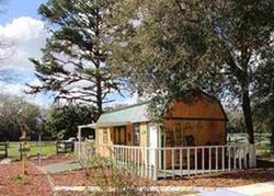 Pre-foreclosure in  NW 202ND ST Newberry, FL 32669