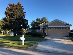 Pre-foreclosure Listing in BLACKRUSH DR TARPON SPRINGS, FL 34689