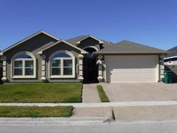 Pre-foreclosure in  SNAKE RIVER DR Corpus Christi, TX 78414