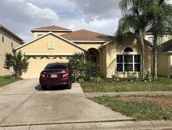 Pre-foreclosure in  CEDAR ELM TER Land O Lakes, FL 34638