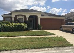 Pre-foreclosure Listing in SUMMER BREEZE DR BRANDON, FL 33511