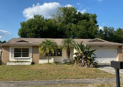 Pre-foreclosure Listing in WHITNEY PL VALRICO, FL 33594