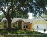 Pre-foreclosure Listing in ASHLEY OAKS DR RIVERVIEW, FL 33578