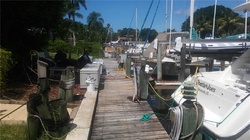 Pre-foreclosure in  HOLLY AVE Sarasota, FL 34243