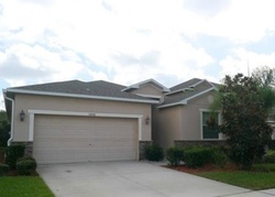  Marmalade Ct, Land O Lakes FL