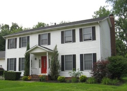 Pre-foreclosure Listing in KHRISTOPHER CT PAINESVILLE, OH 44077