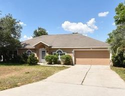 Pre-foreclosure in  WATER FERN CIR Clermont, FL 34711