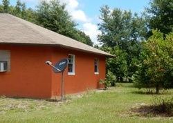  Florida Boys Ranch , Groveland FL