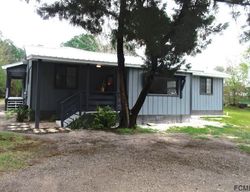 Pre-foreclosure Listing in QUARTER HORSE LN BUNNELL, FL 32110