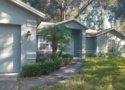 Pre-foreclosure Listing in PARSONS RESERVE CT SEFFNER, FL 33584