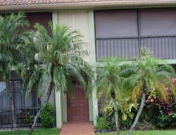 Pre-foreclosure in  PINEAPPLE TREE DR  Boynton Beach, FL 33436