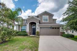  Tarleton Way, Mount Dora FL