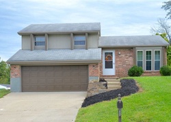 Pre-foreclosure Listing in WILLOWOOD LN WALTON, KY 41094