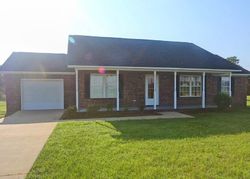 Pre-foreclosure Listing in BLACK RIVER RD DALZELL, SC 29040