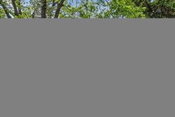 Pre-foreclosure Listing in S WILLOW BROOK TRL CRETE, IL 60417