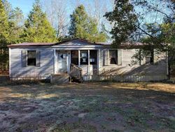 Pre-foreclosure Listing in TWEETIE LN LEESVILLE, SC 29070