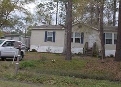 Pre-foreclosure Listing in NW 216TH ST LAWTEY, FL 32058