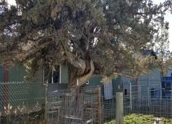 Pre-foreclosure in  NW MAPLE AVE Redmond, OR 97756