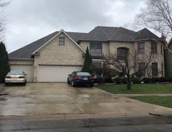 Pre-foreclosure Listing in SUNBURST LN NAPERVILLE, IL 60564