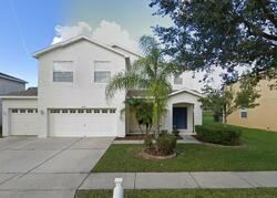 Pre-foreclosure in  DRAGON FLY LOOP Gibsonton, FL 33534