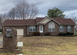Pre-foreclosure Listing in ANTLERS TRACE DR COXS CREEK, KY 40013