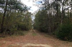 Pre-foreclosure Listing in SE WRENNIE MOODY RD BLOUNTSTOWN, FL 32424