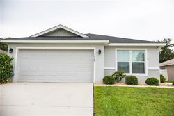 Pre-foreclosure Listing in CHESTNUT VIEW DR LAKELAND, FL 33810