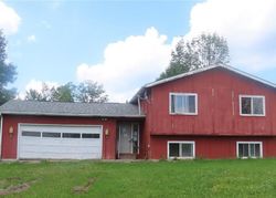Pre-foreclosure Listing in DUNN RD BRANCHPORT, NY 14418