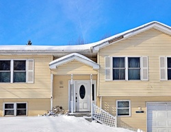 Pre-foreclosure Listing in SYCAMORE ST LAKE IN THE HILLS, IL 60156