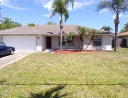 Pre-foreclosure Listing in CONRAD DR NEW SMYRNA BEACH, FL 32168